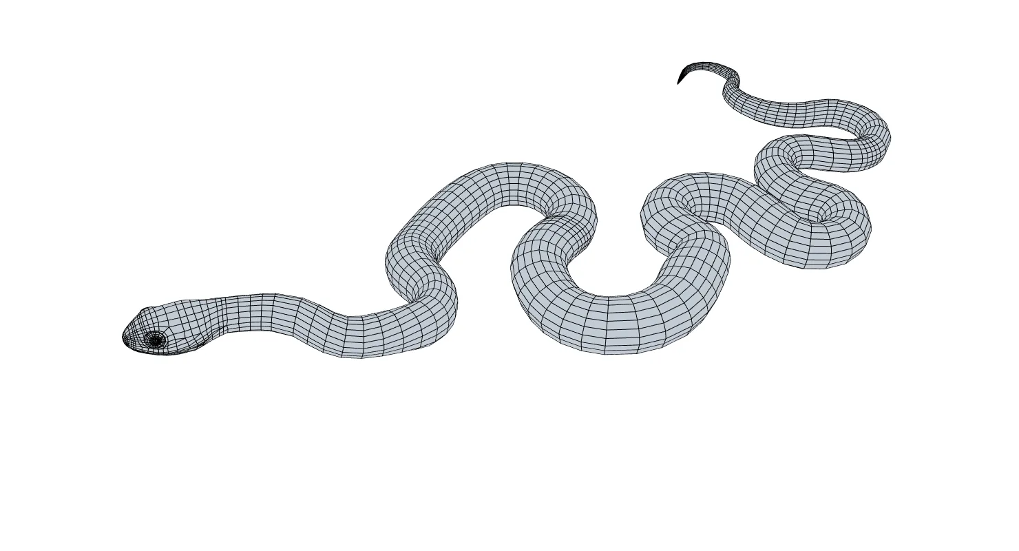 Boomslang Snake - Animated