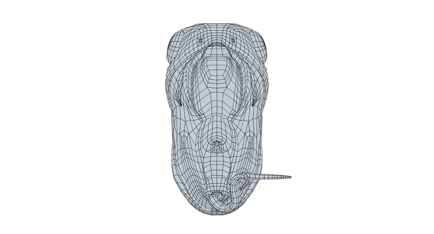 Boomslang Snake - Animated