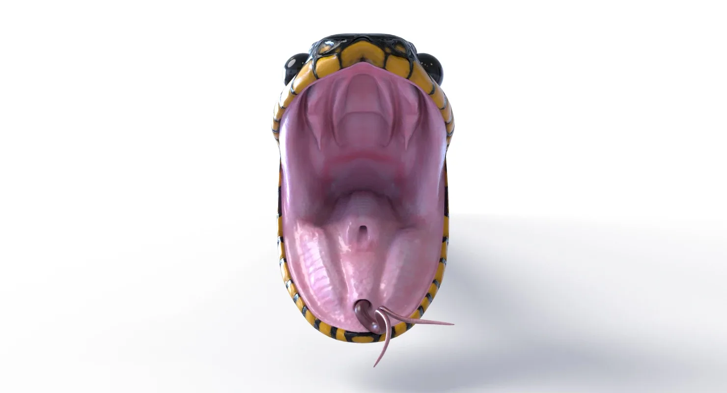 Mangrove Snake - Animated