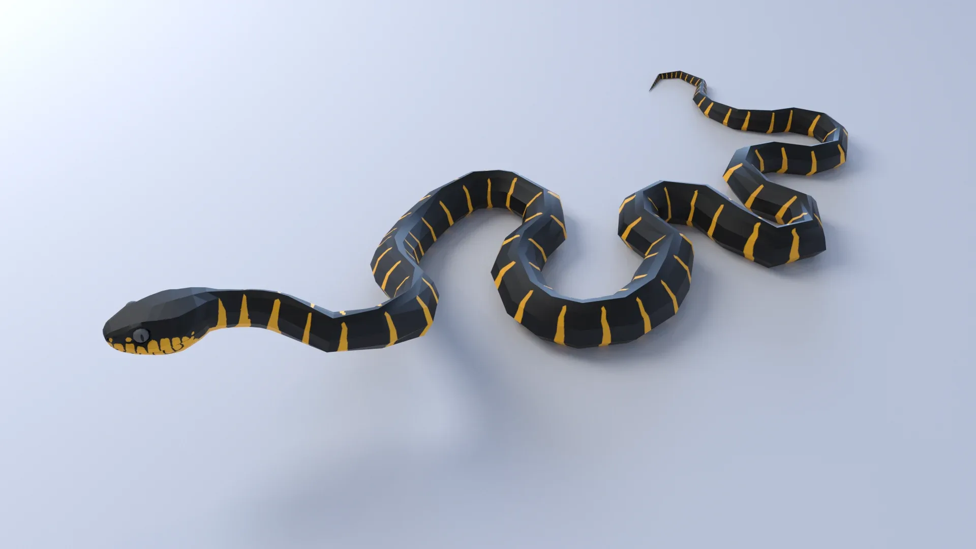 Mangrove Snake - Animated