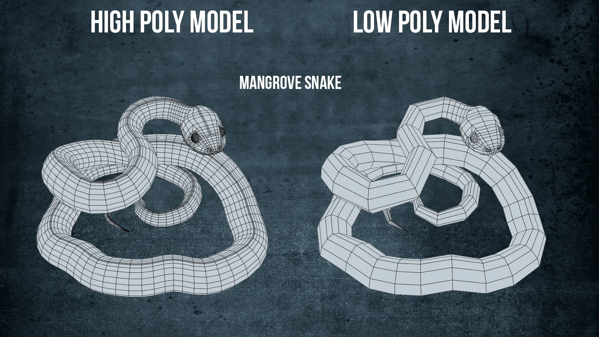 Mangrove Snake - Animated