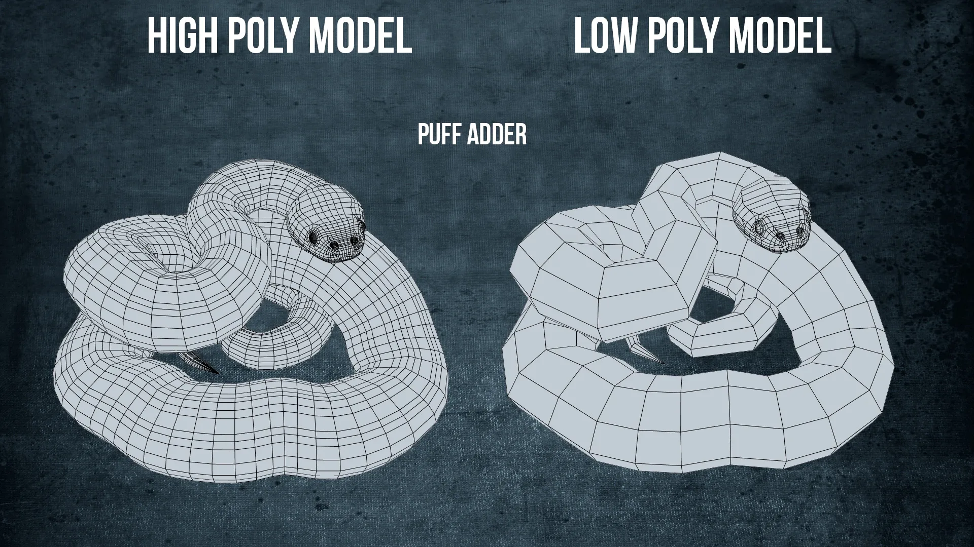 Puff Adder - Animated