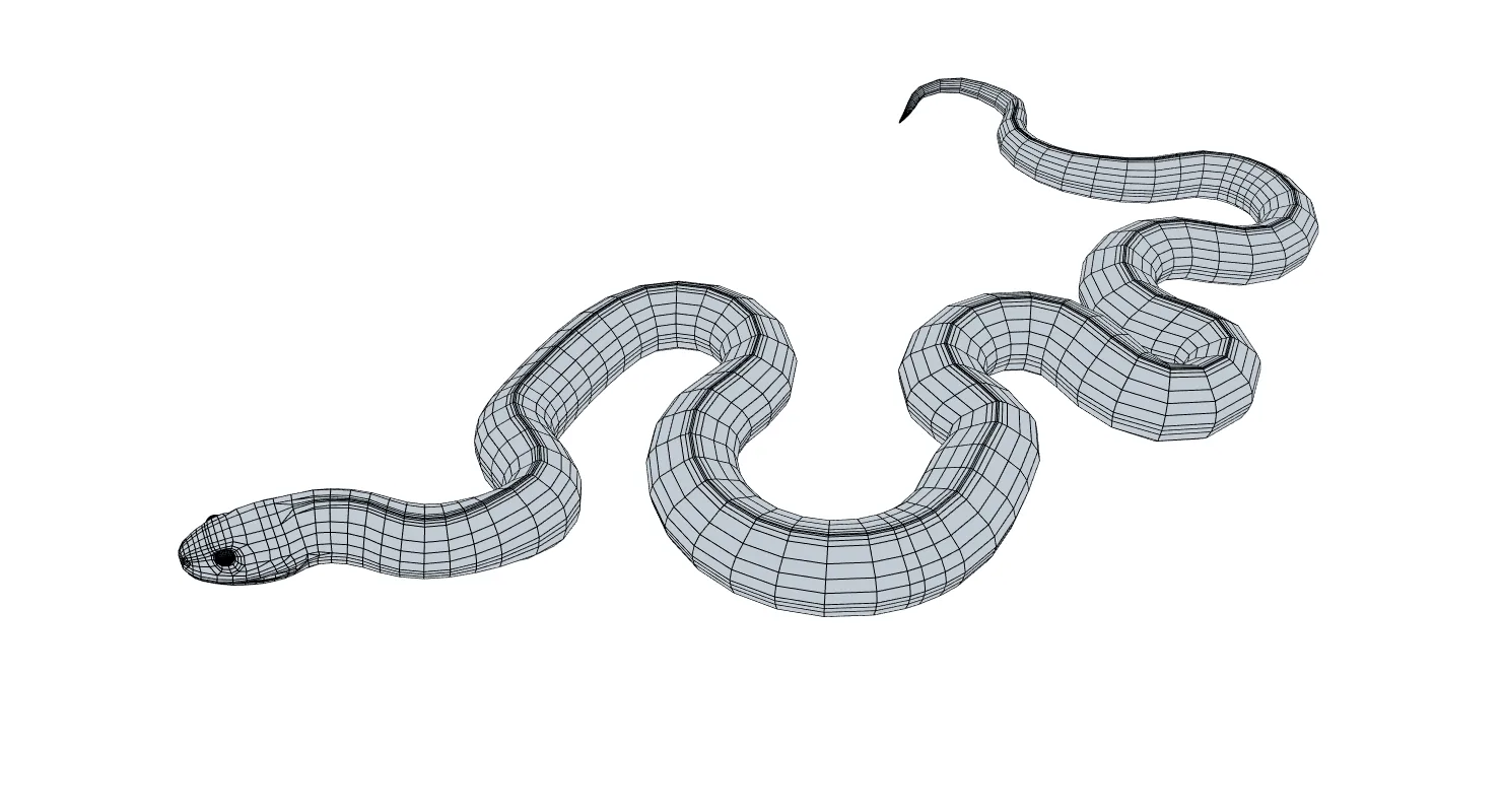 Red Bellied Black Snake - Animated