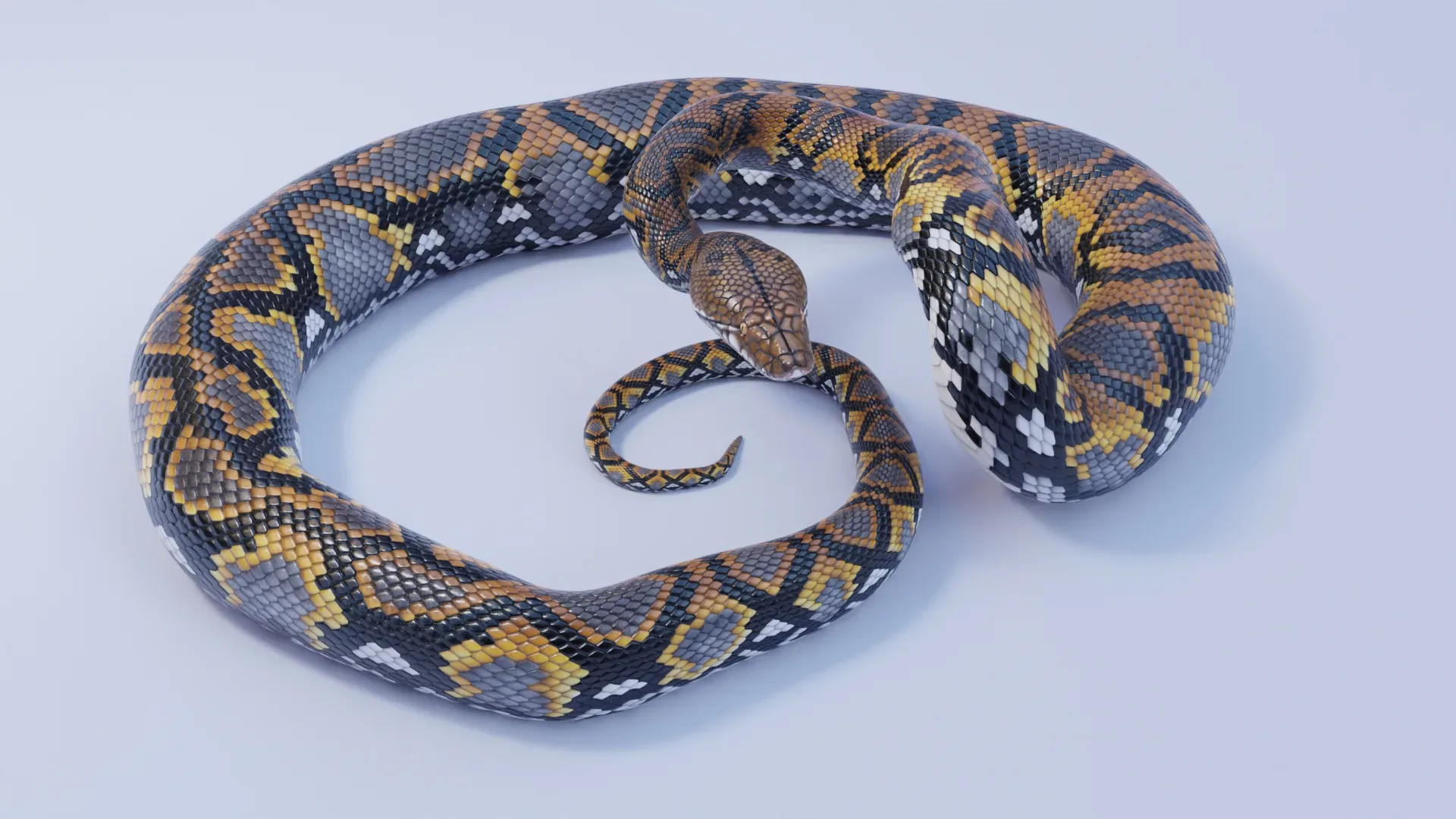 Reticulated Python - Animated