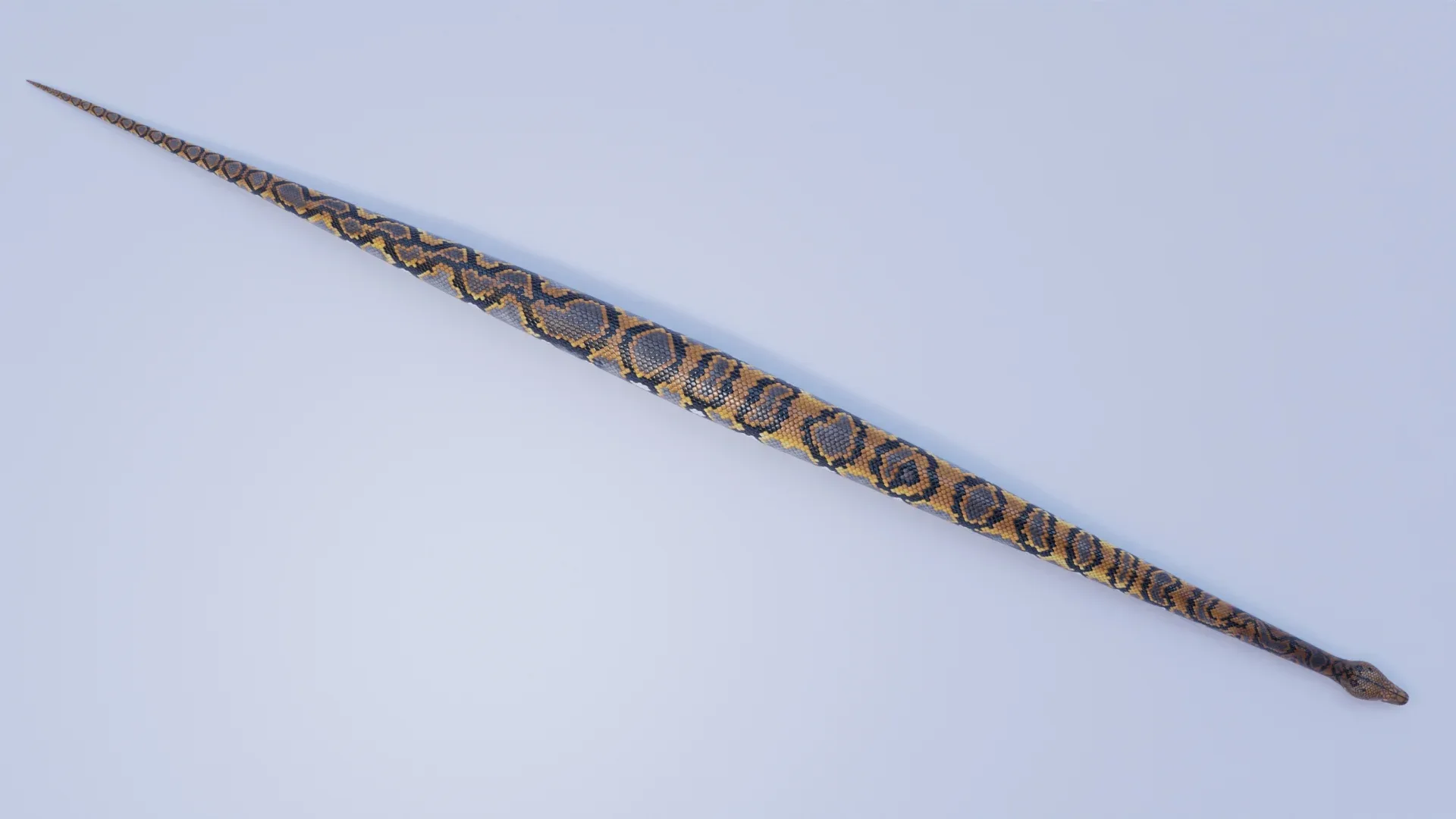 Reticulated Python - Animated