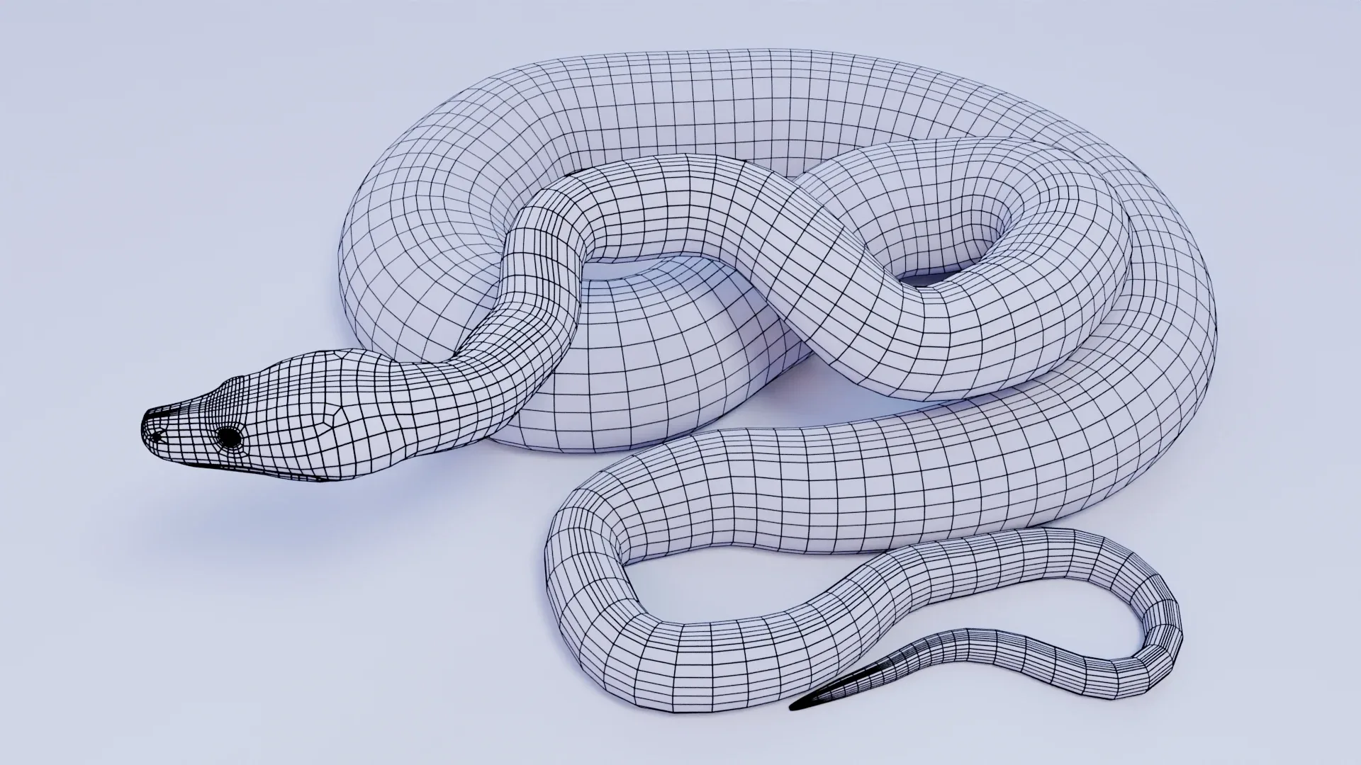 Reticulated Python - Animated