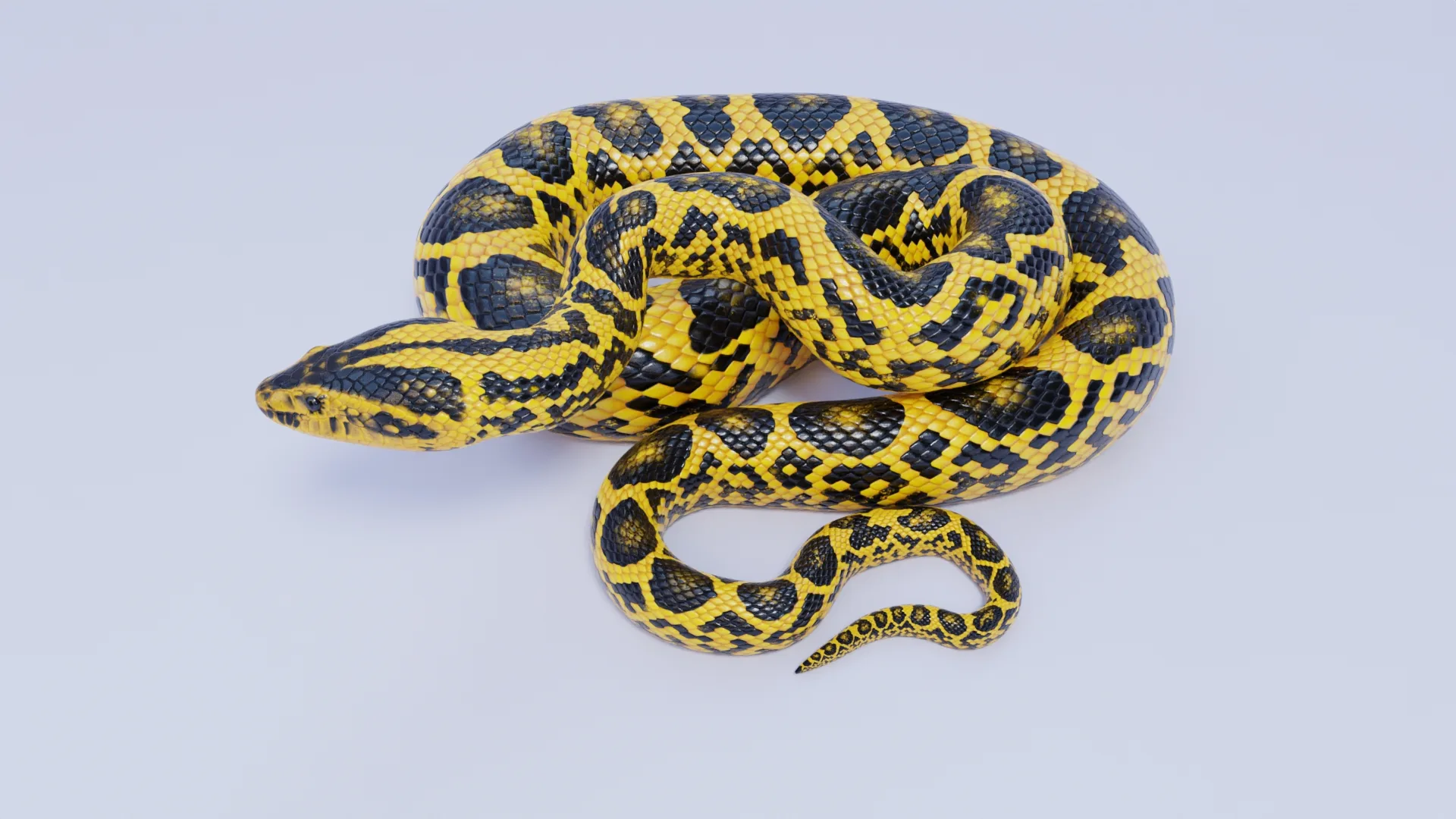 Yellow Anaconda - Animated