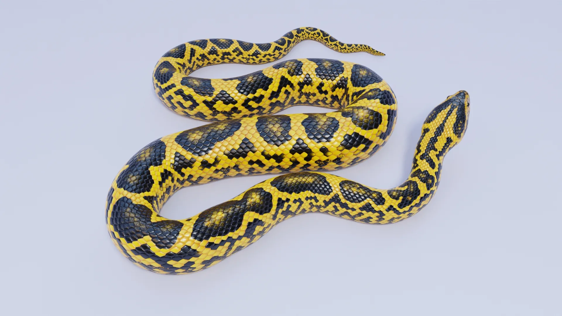 Yellow Anaconda - Animated