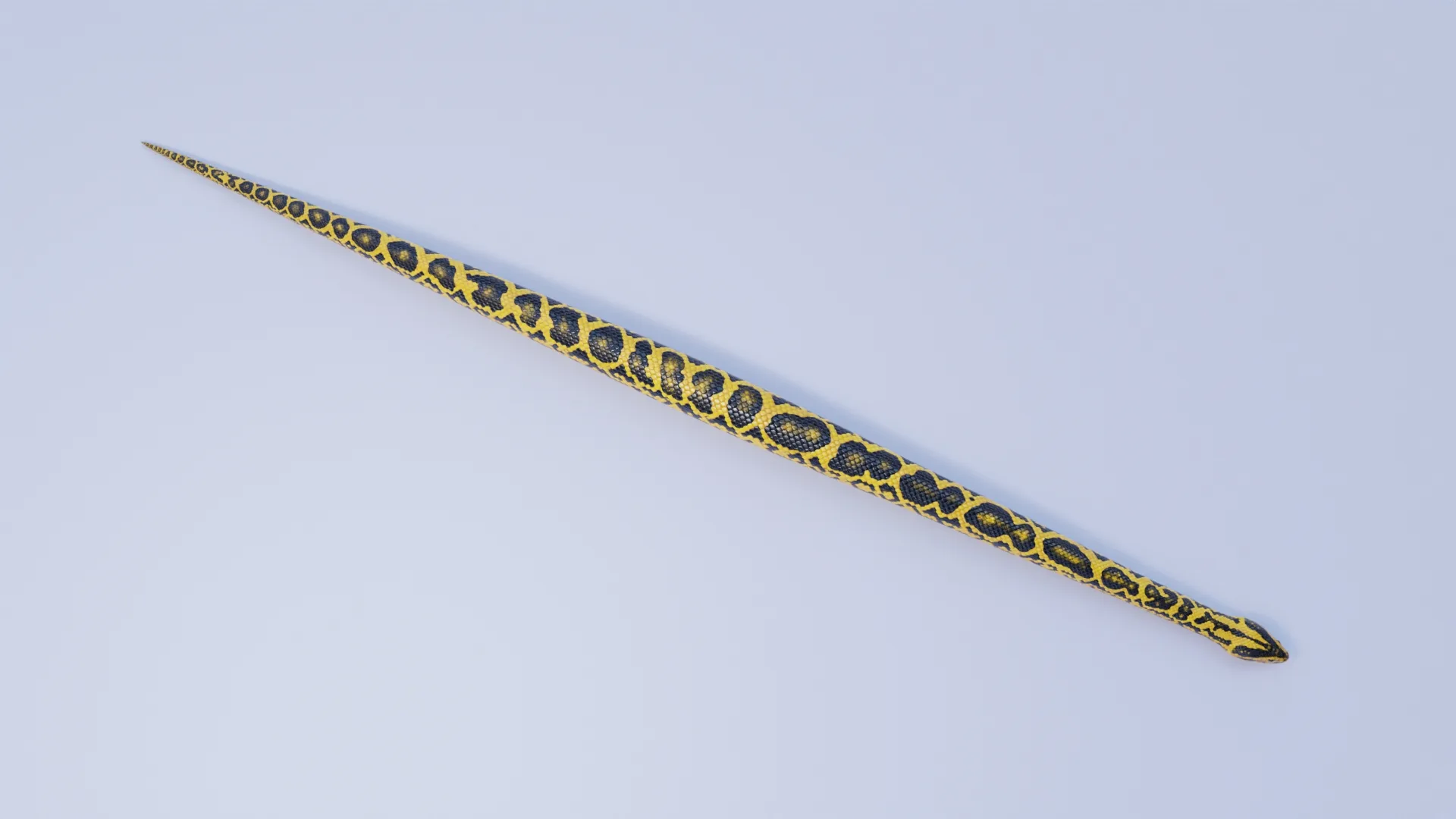 Yellow Anaconda - Animated