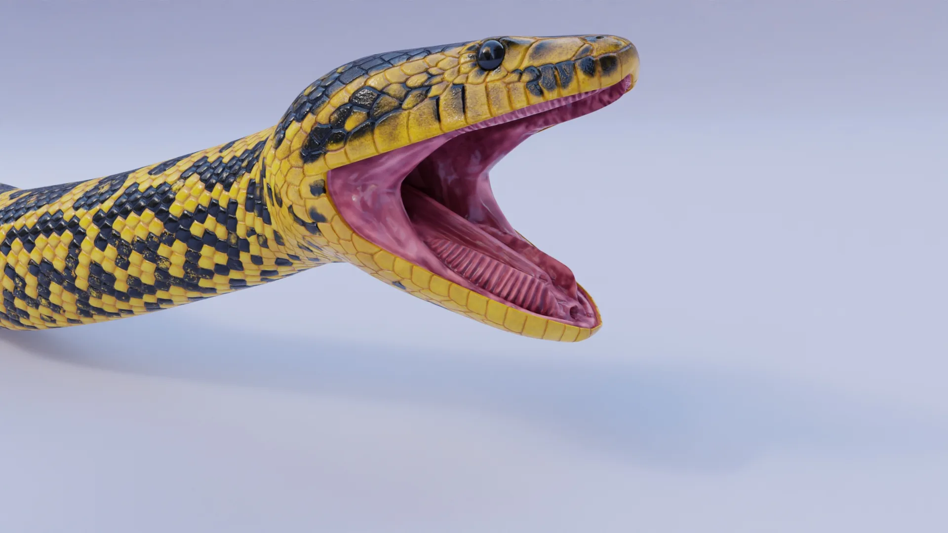 Yellow Anaconda - Animated