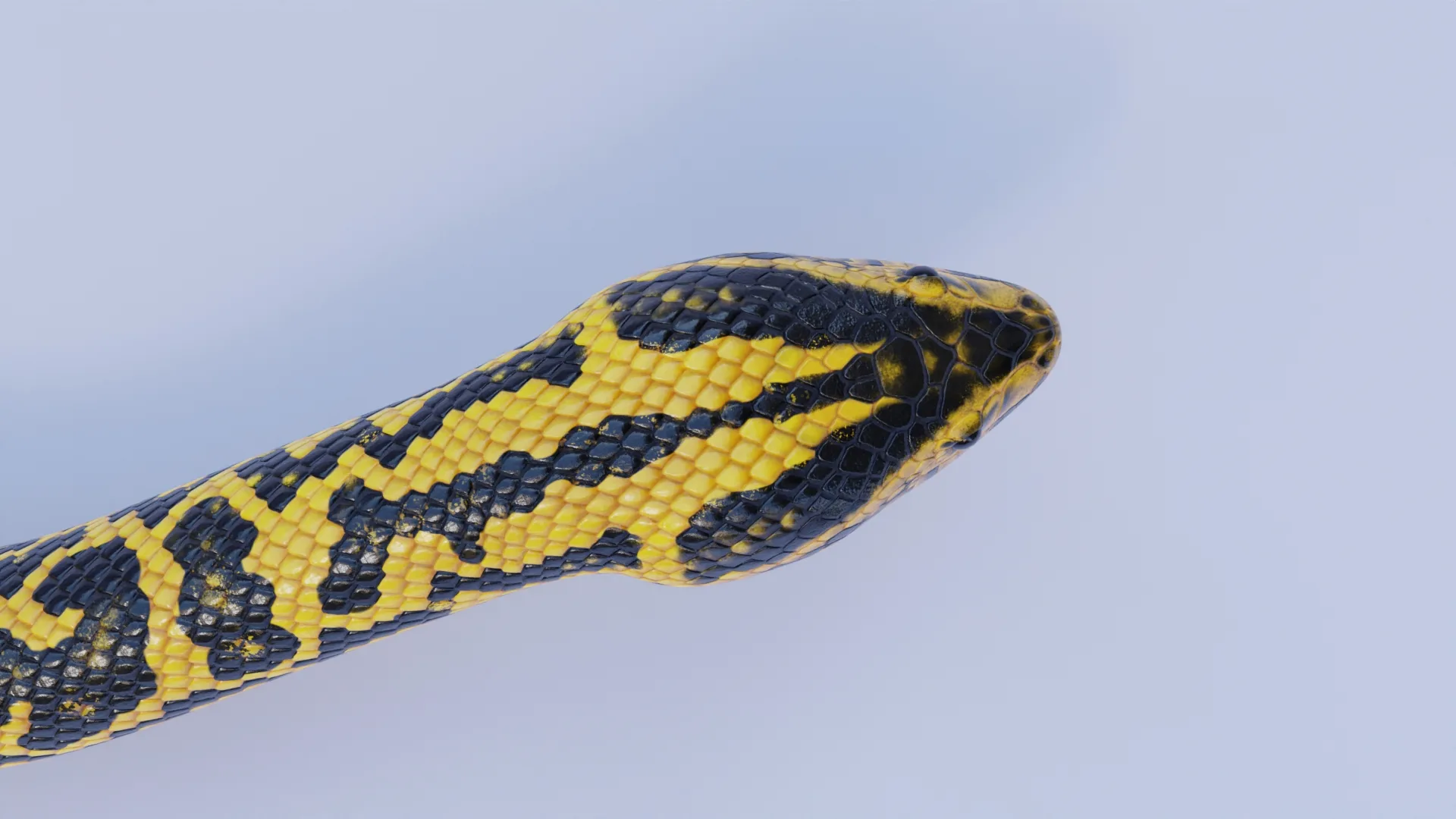 Yellow Anaconda - Animated