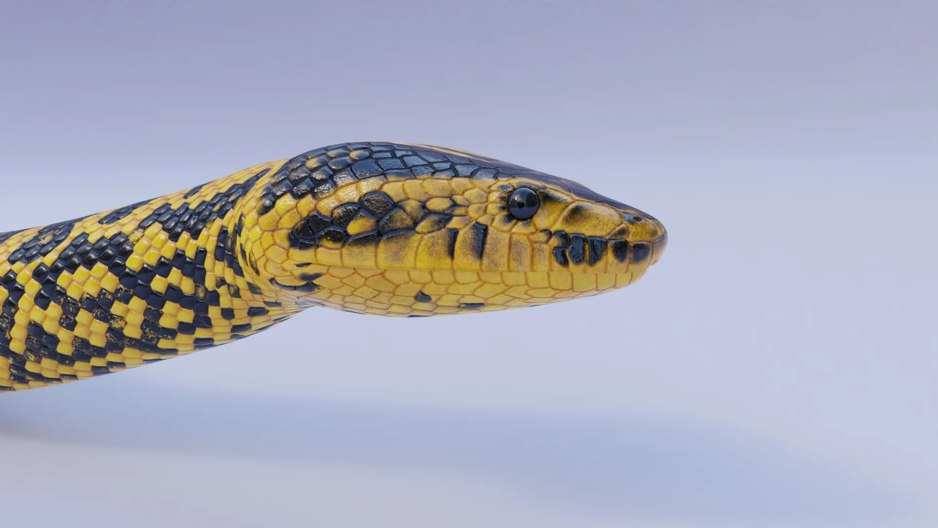 Yellow Anaconda - Animated