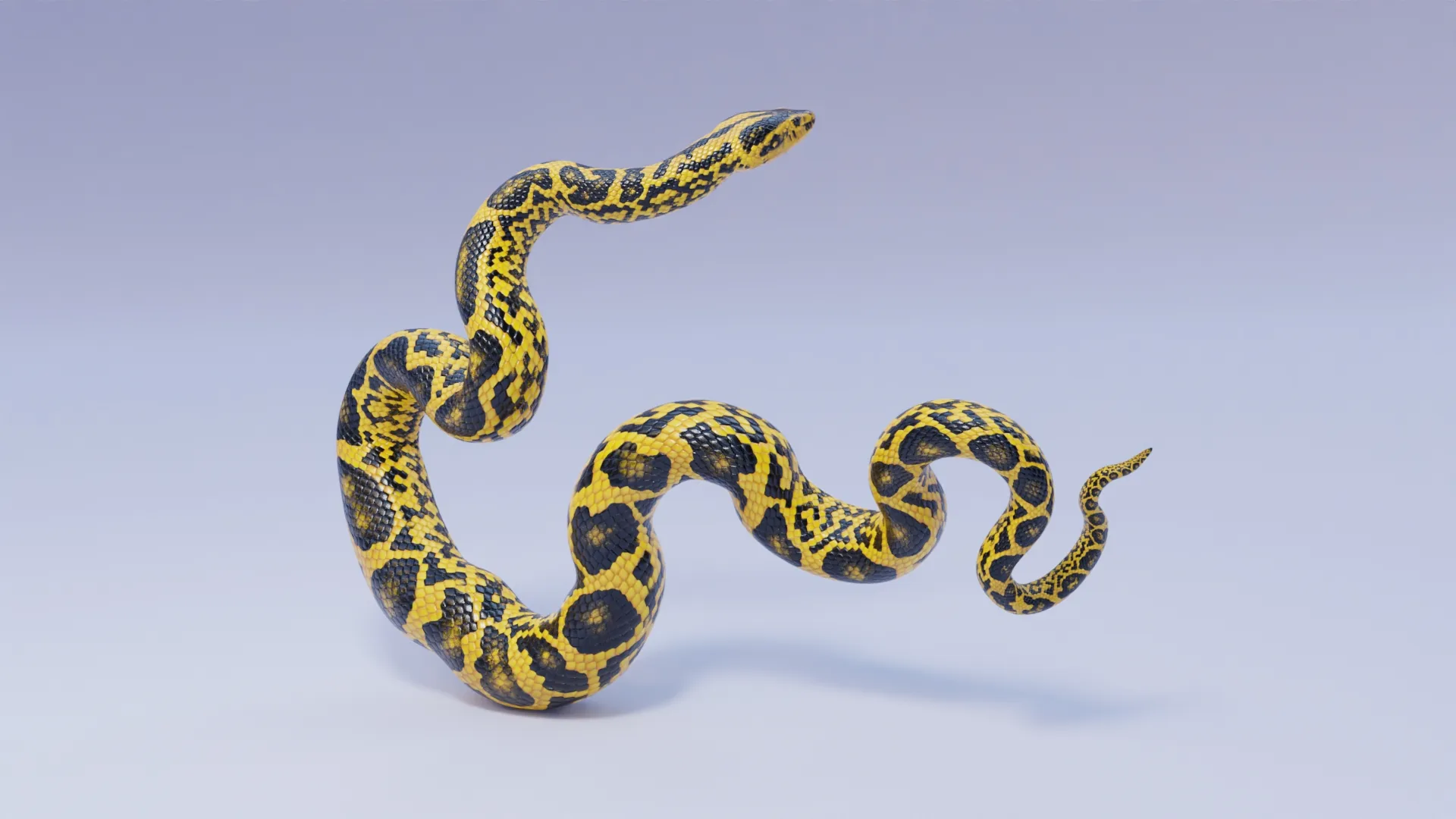 Yellow Anaconda - Animated