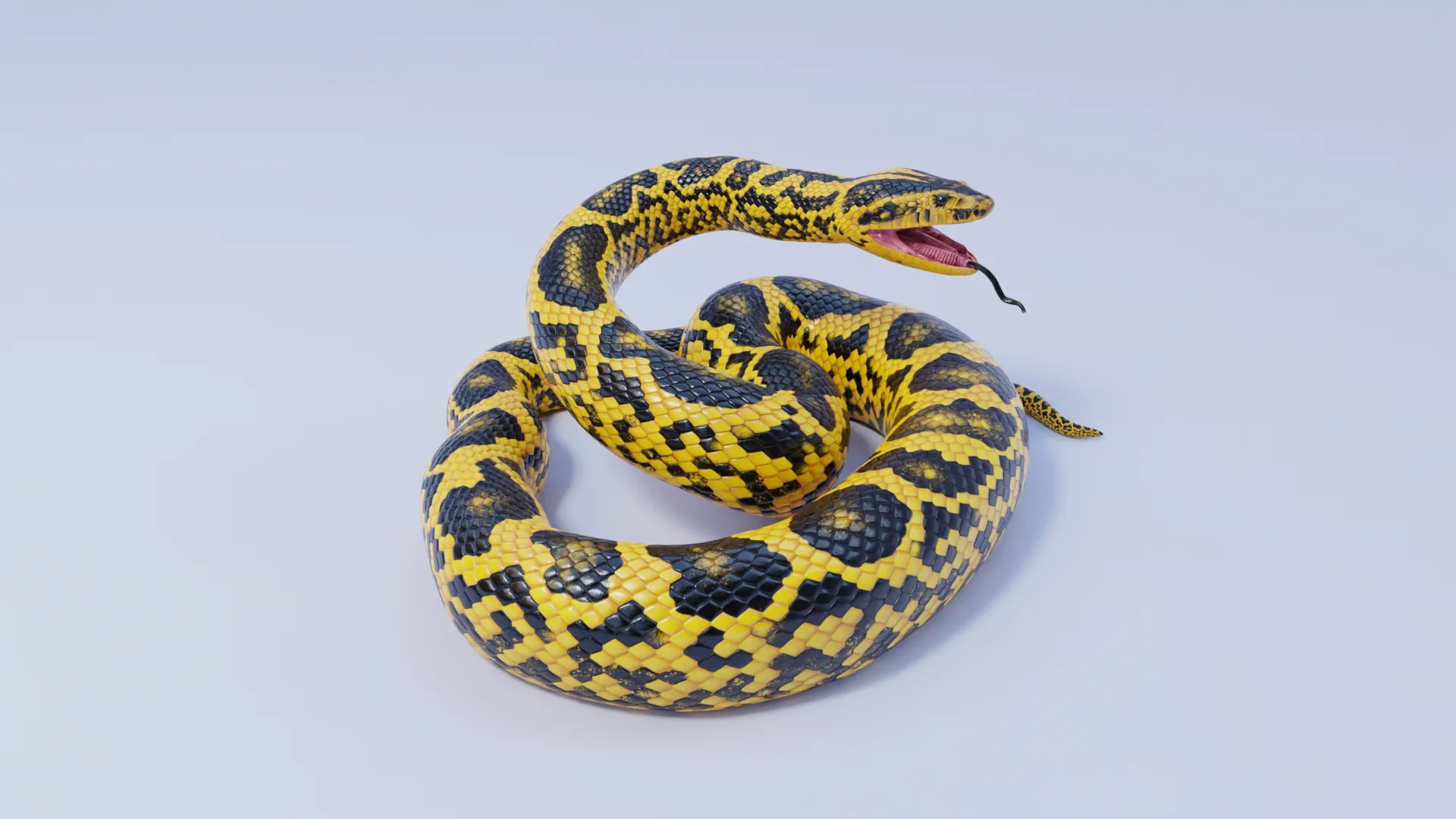 Yellow Anaconda - Animated