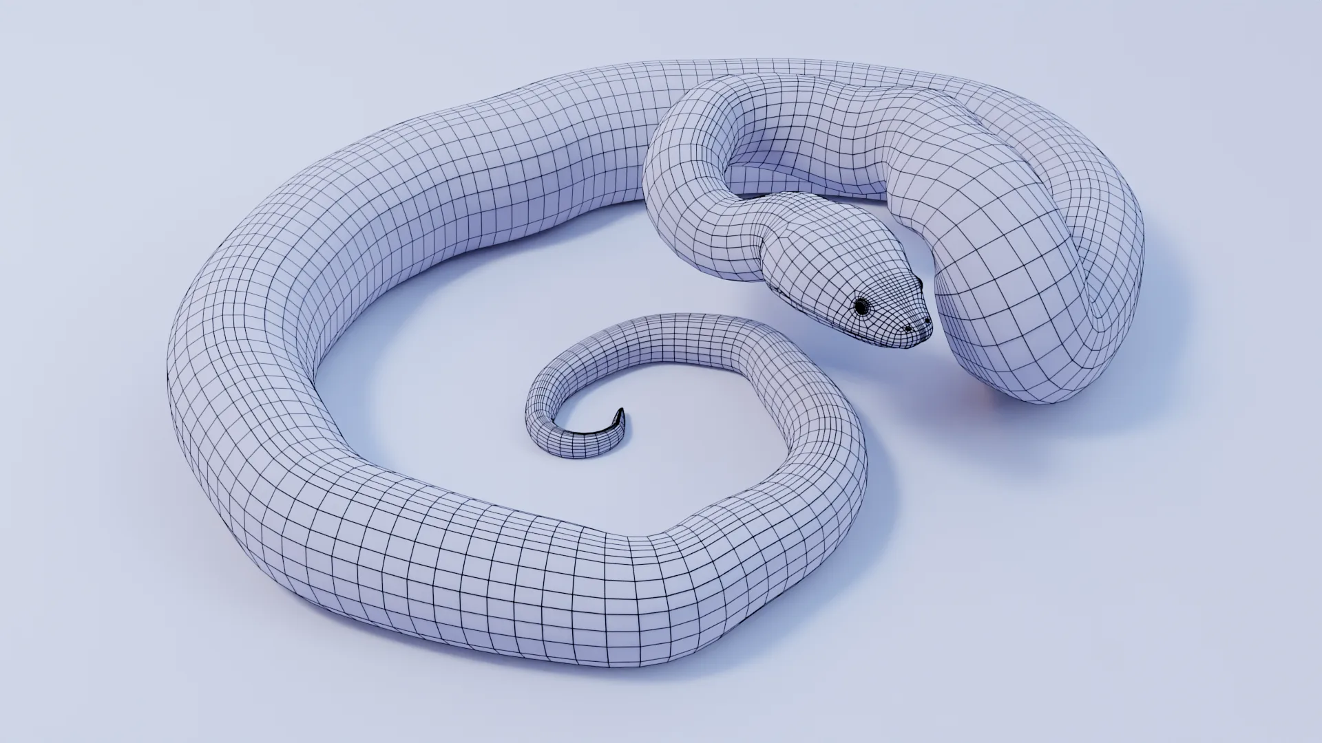 Yellow Anaconda - Animated