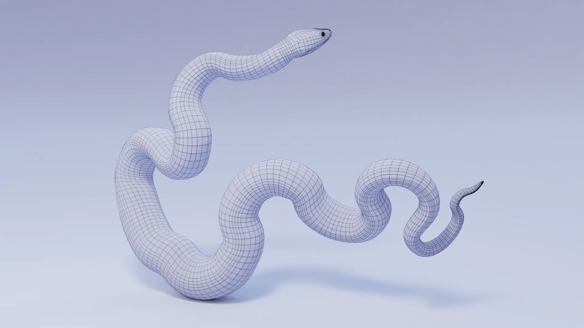 Yellow Anaconda - Animated