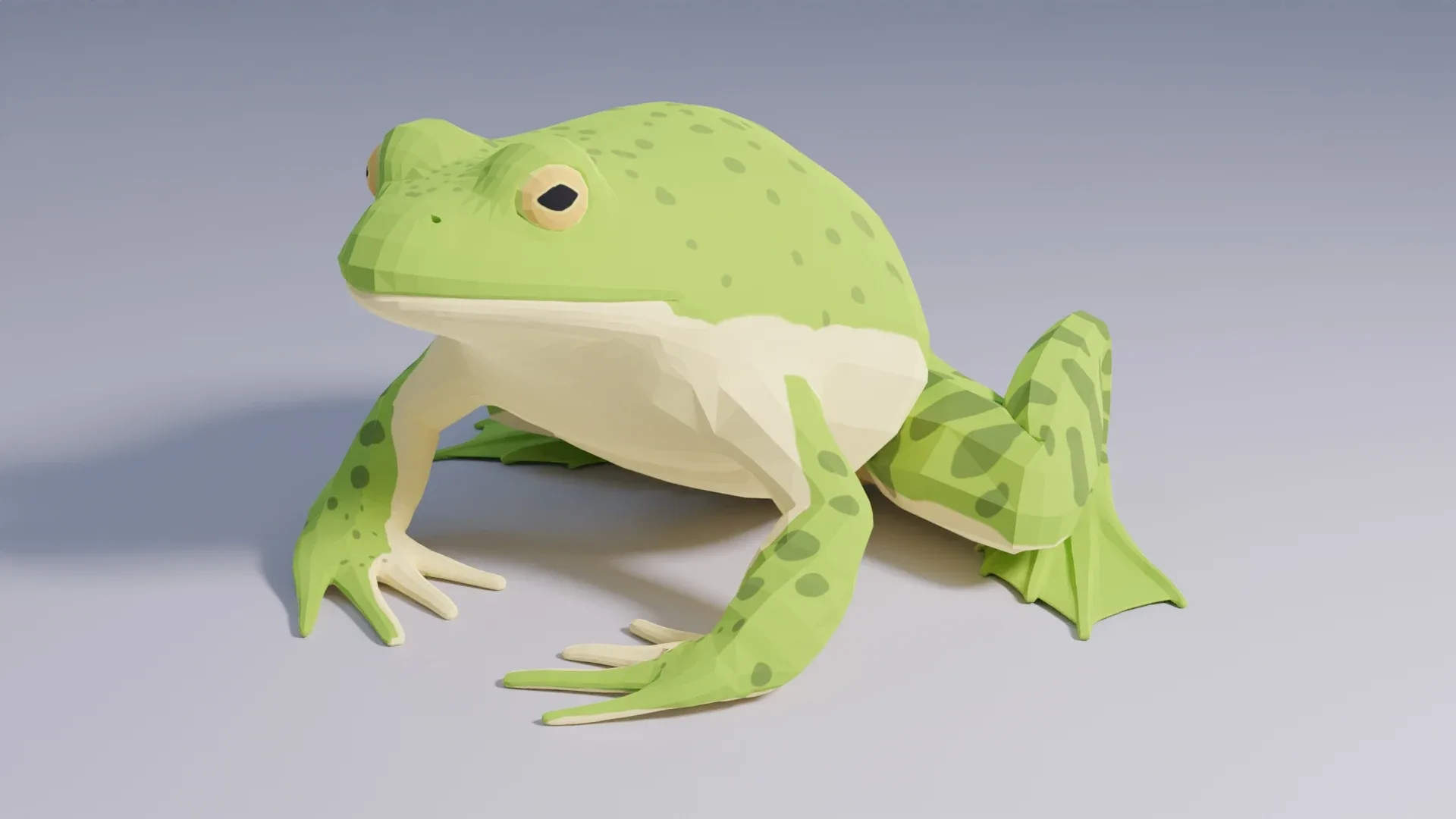 American Bullfrog - Animated