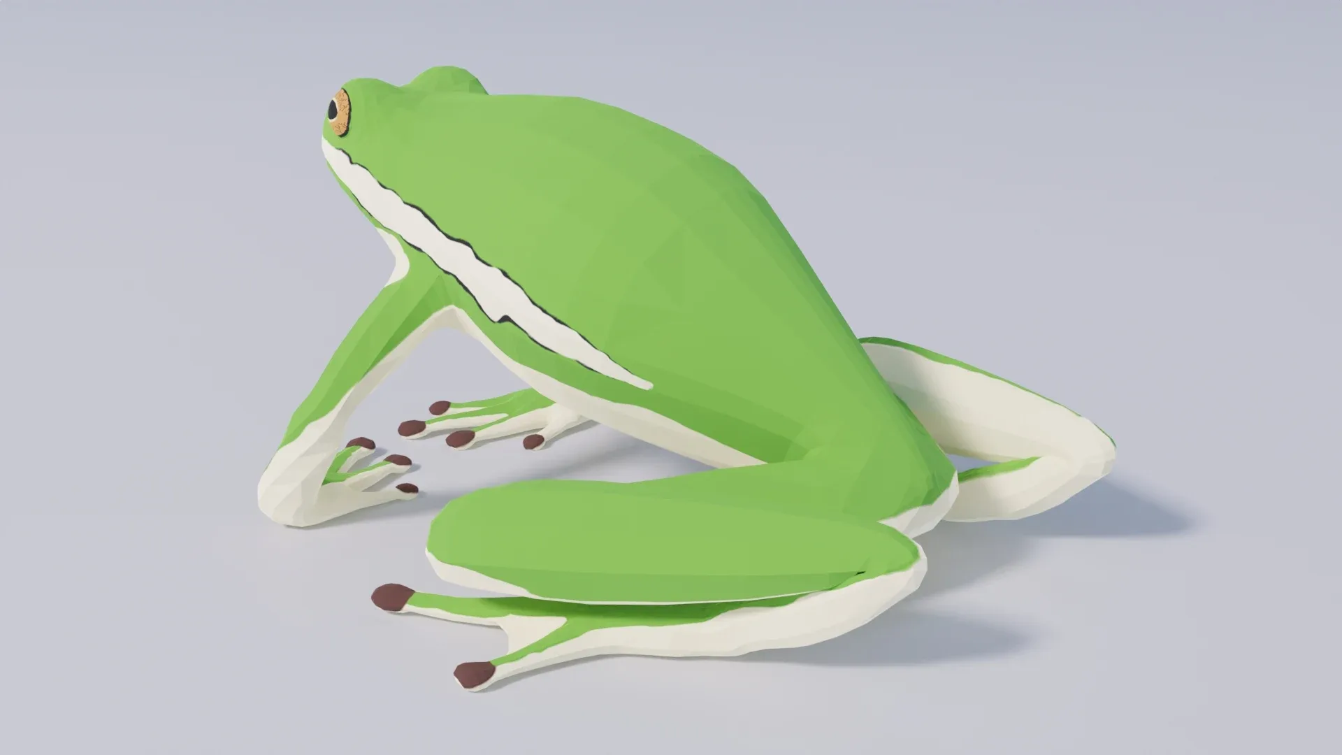 American Green Tree Frog - Animated