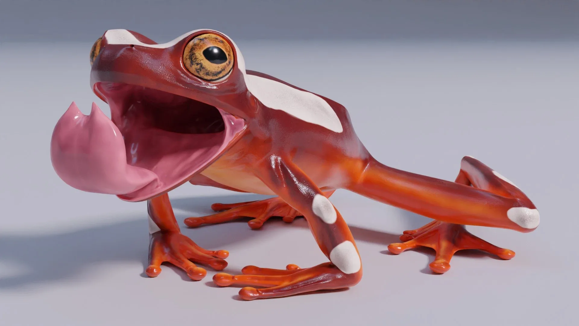 Clown Tree Frog - Animated