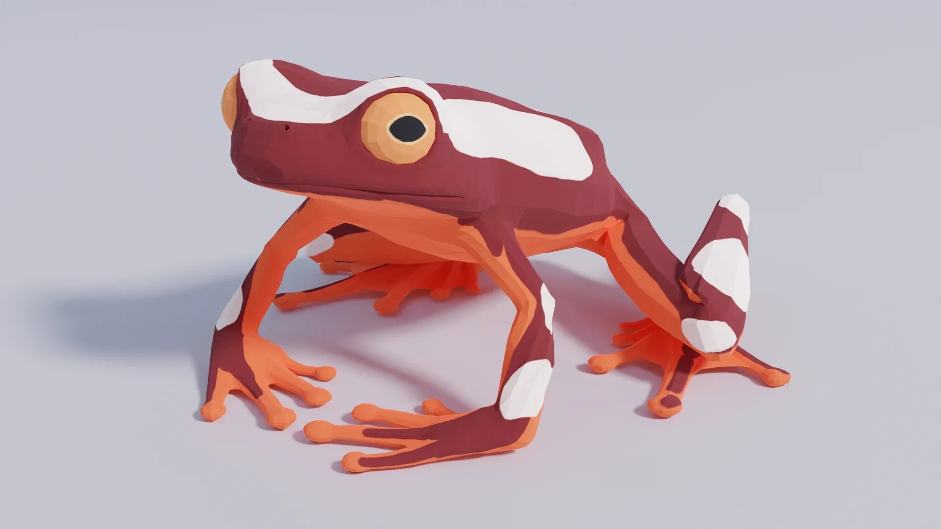 Clown Tree Frog - Animated