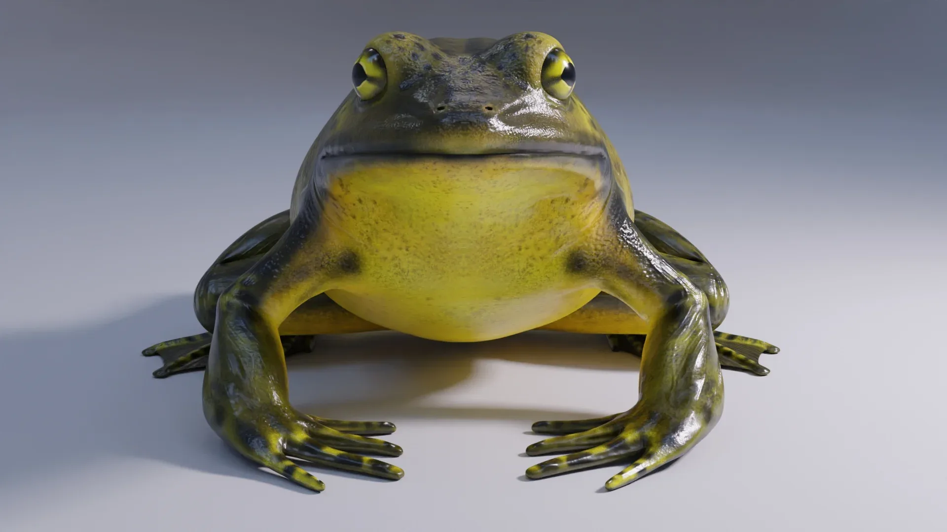 Goliath Bullfrog Animated FlippedNormals