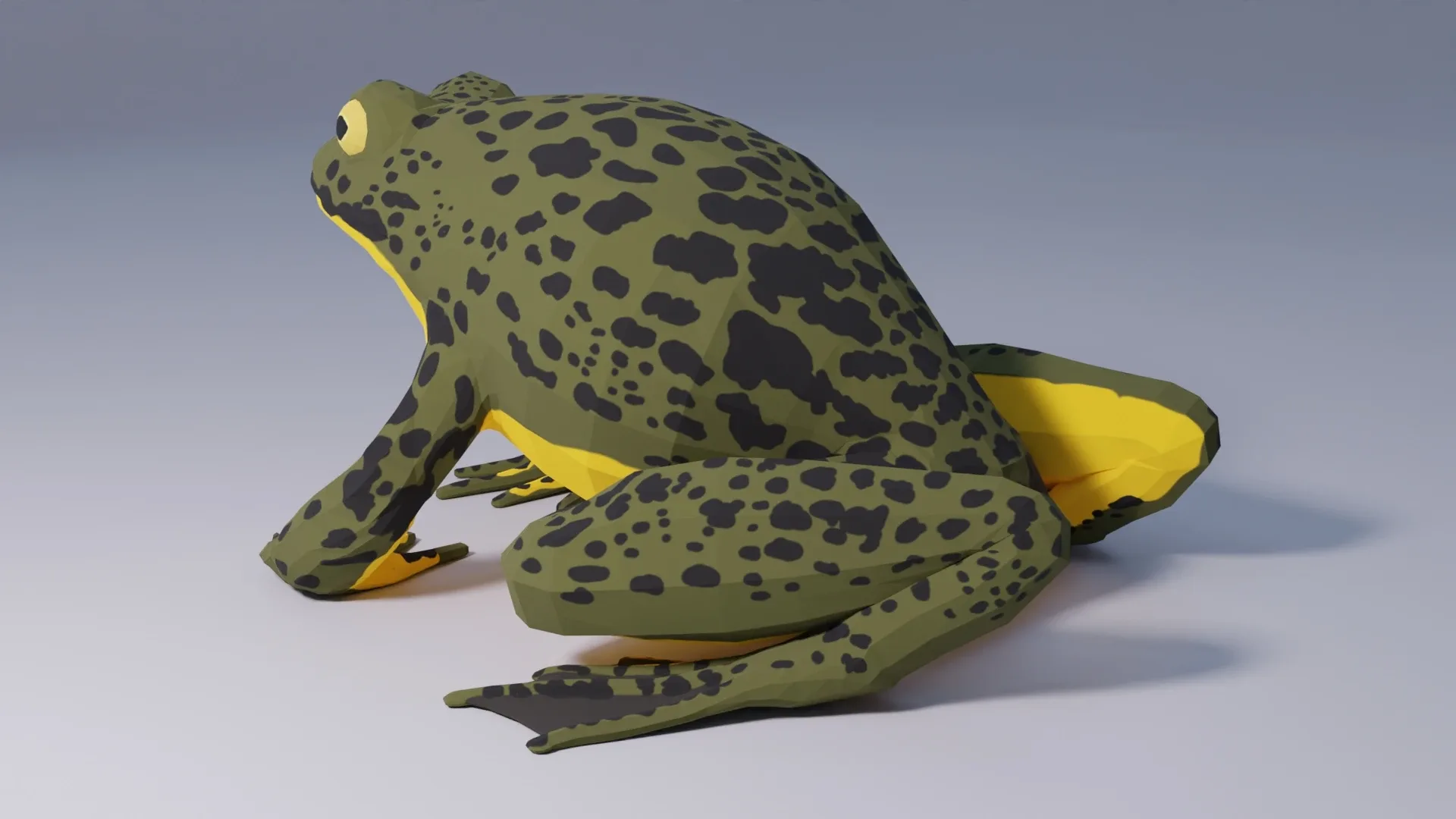 Goliath Bullfrog - Animated