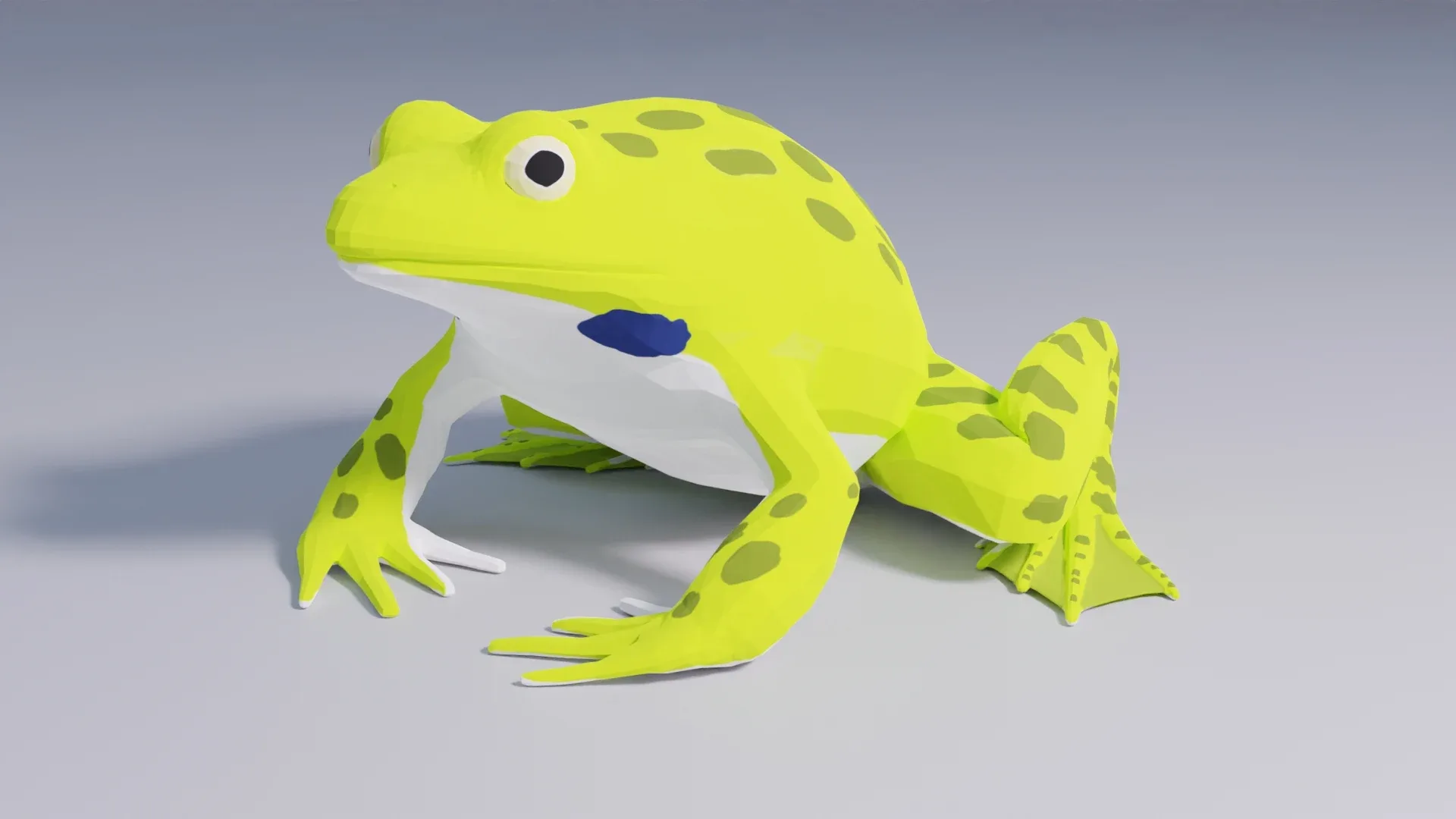 Indian Bullfrog - Animated