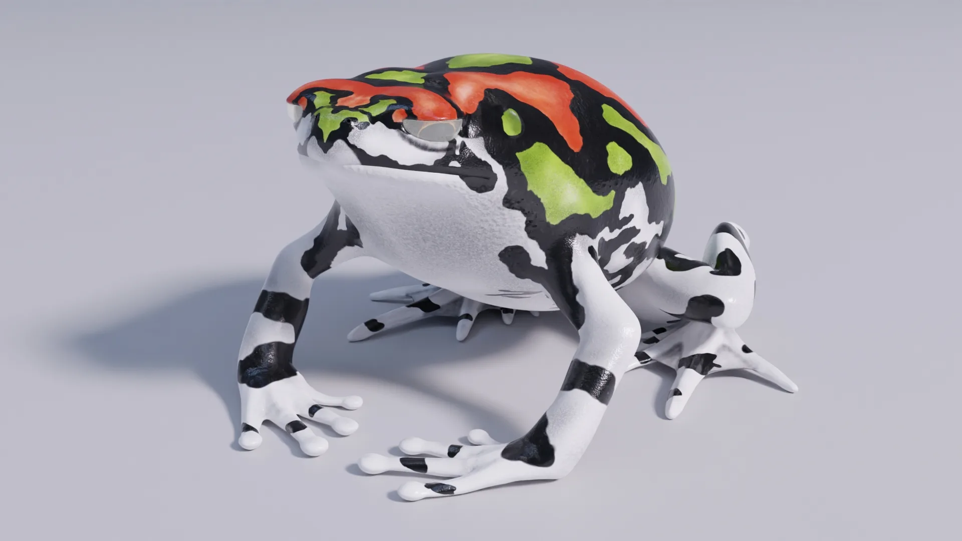 Malagasy Rainbow Frog - Animated