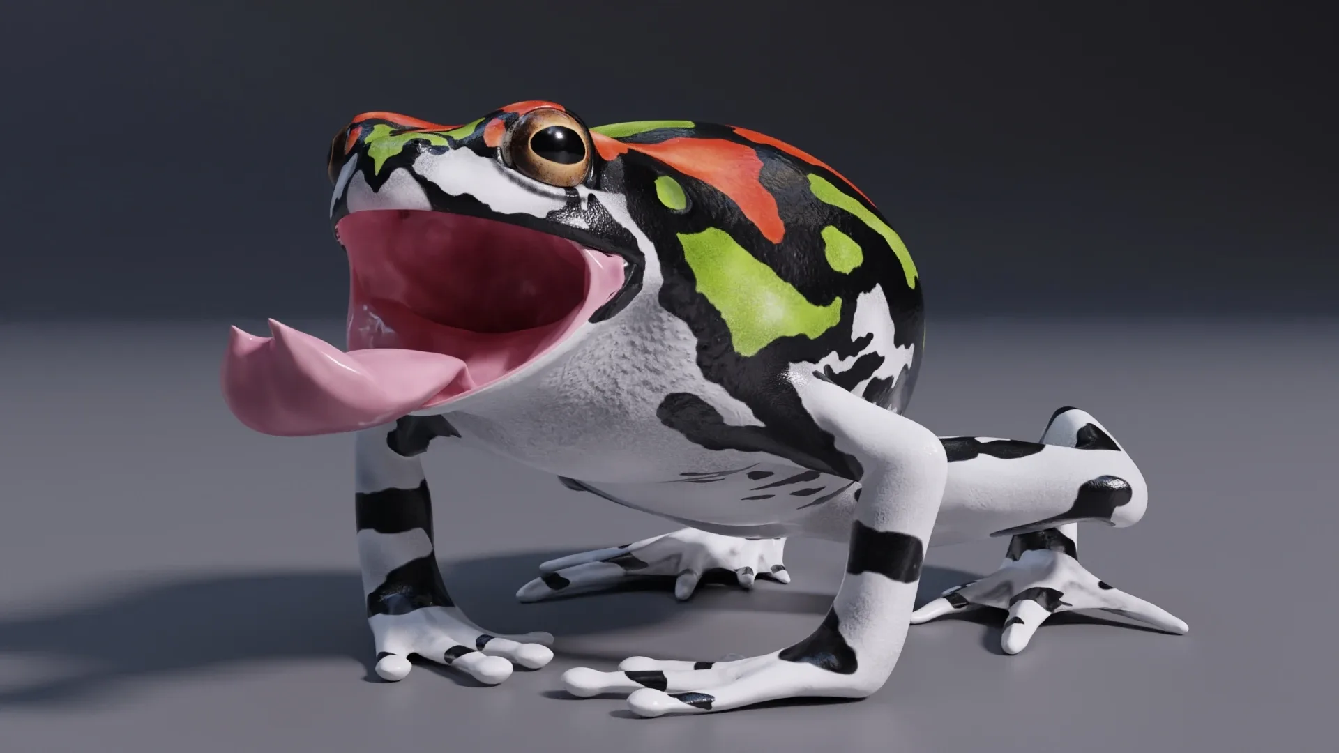 Malagasy Rainbow Frog - Animated