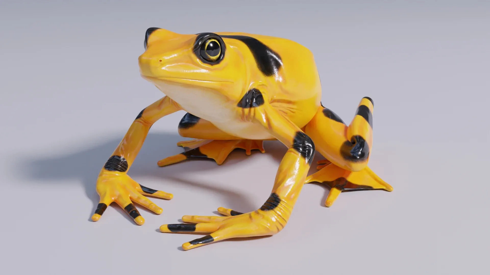 Panamanian Golden Frog - Animated