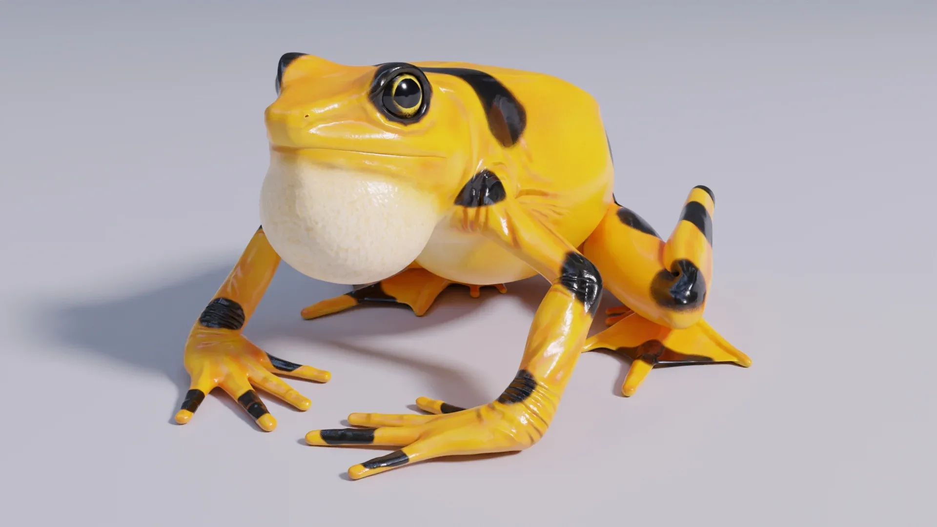 Panamanian Golden Frog - Animated