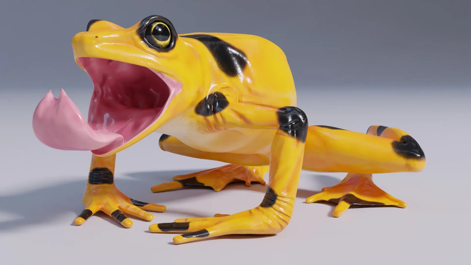 Panamanian Golden Frog - Animated