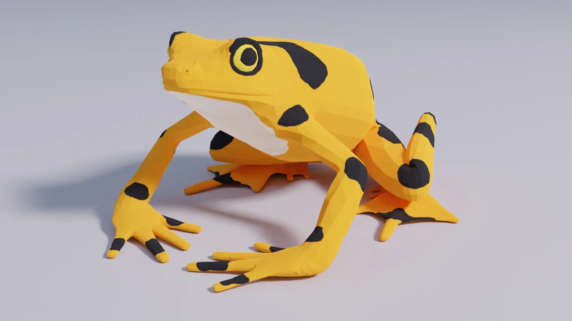 Panamanian Golden Frog - Animated