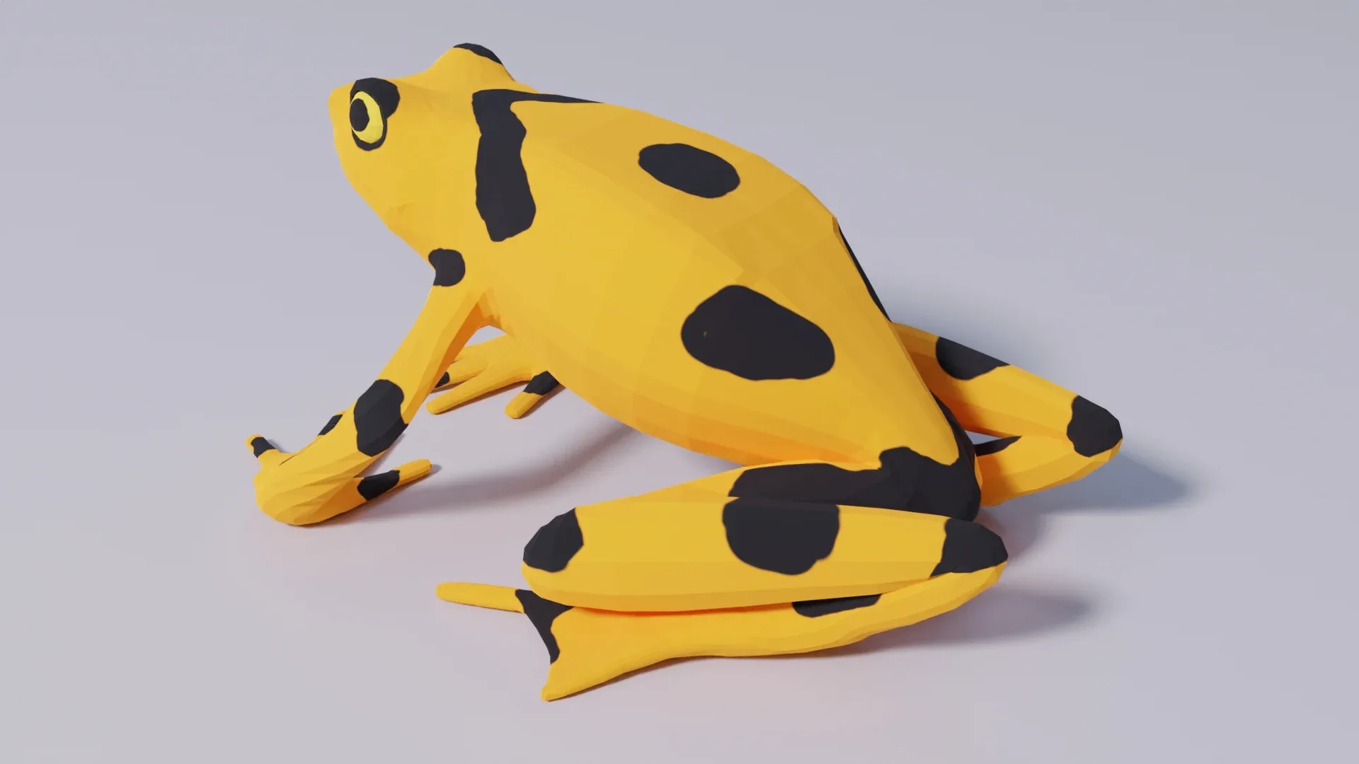 Panamanian Golden Frog - Animated