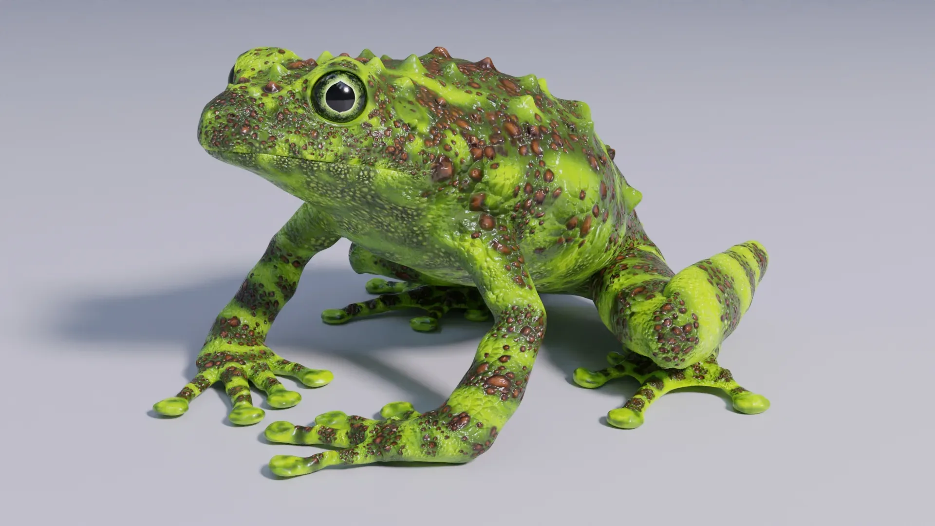 Vietnamese Mossy Frog - Animated