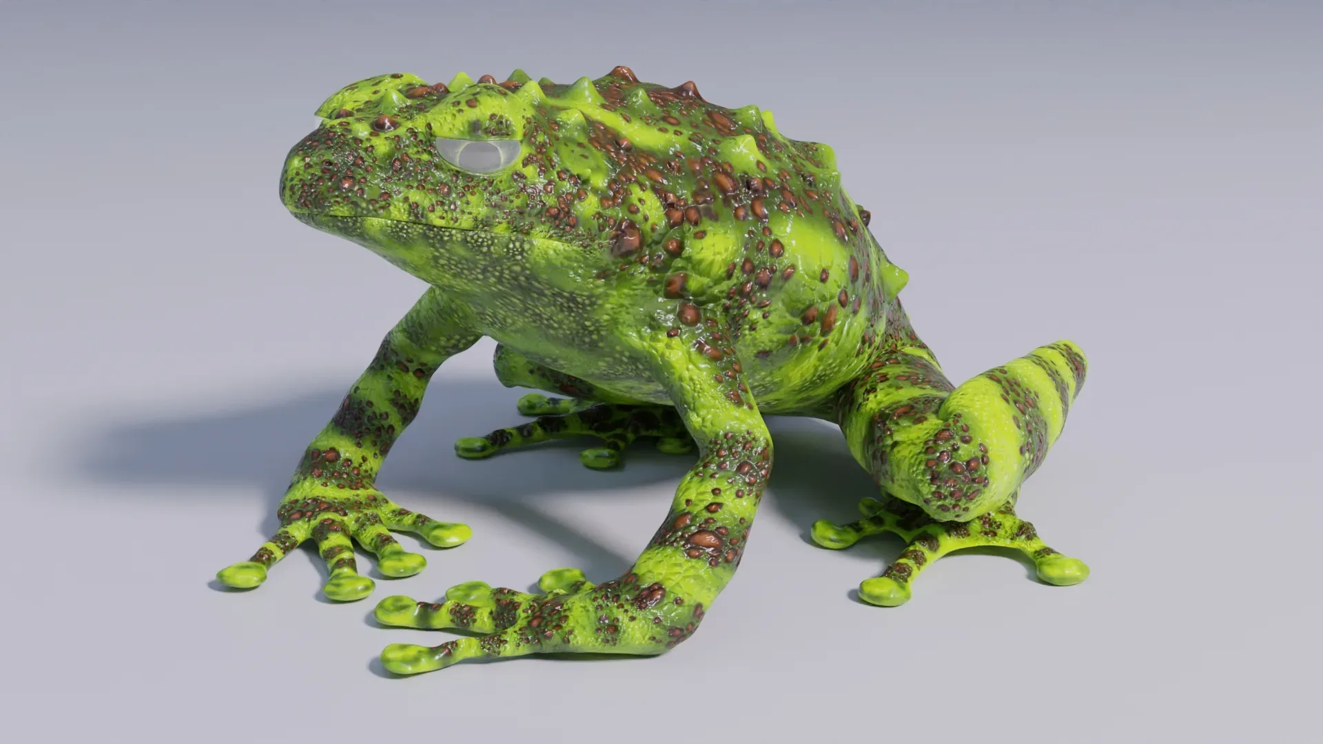 Vietnamese Mossy Frog - Animated