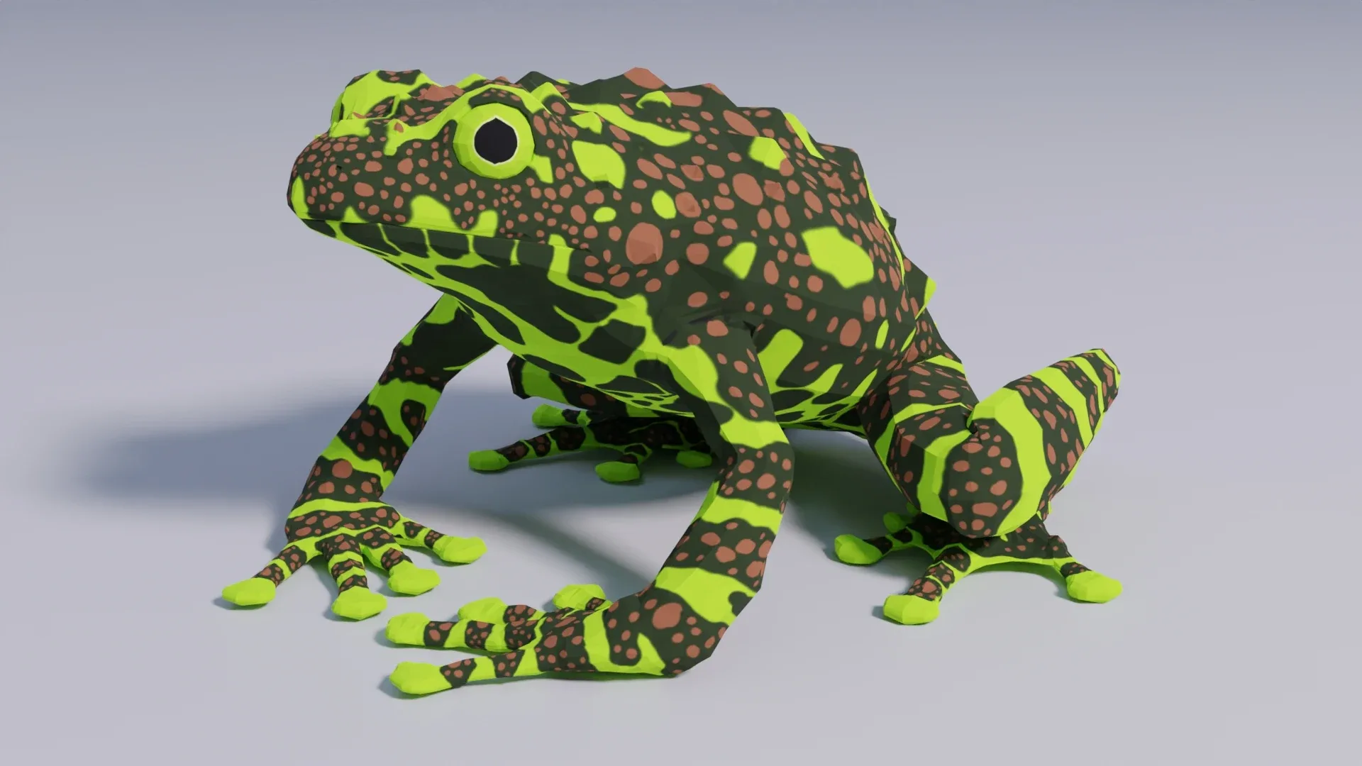 Vietnamese Mossy Frog - Animated