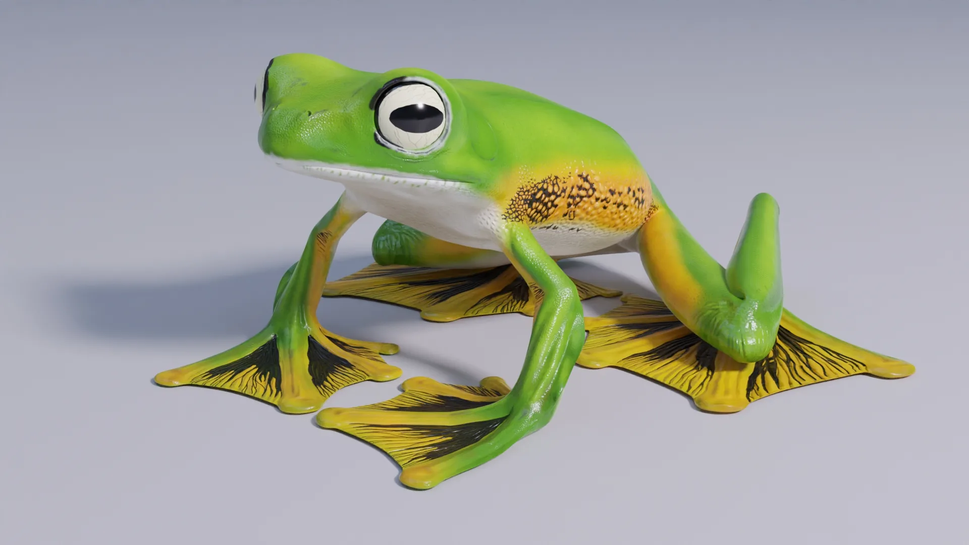 Wallace's Flying Frog - Animated