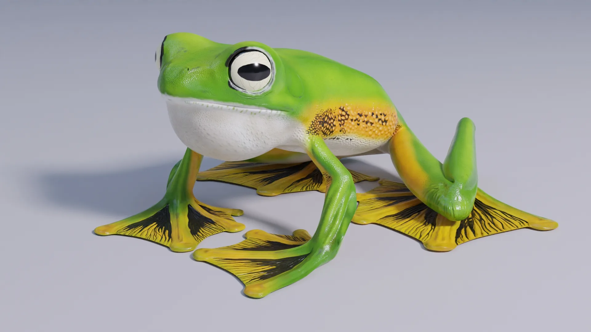 Wallace's Flying Frog - Animated