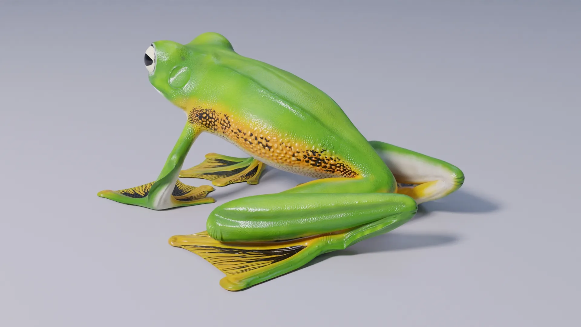 Wallace's Flying Frog - Animated