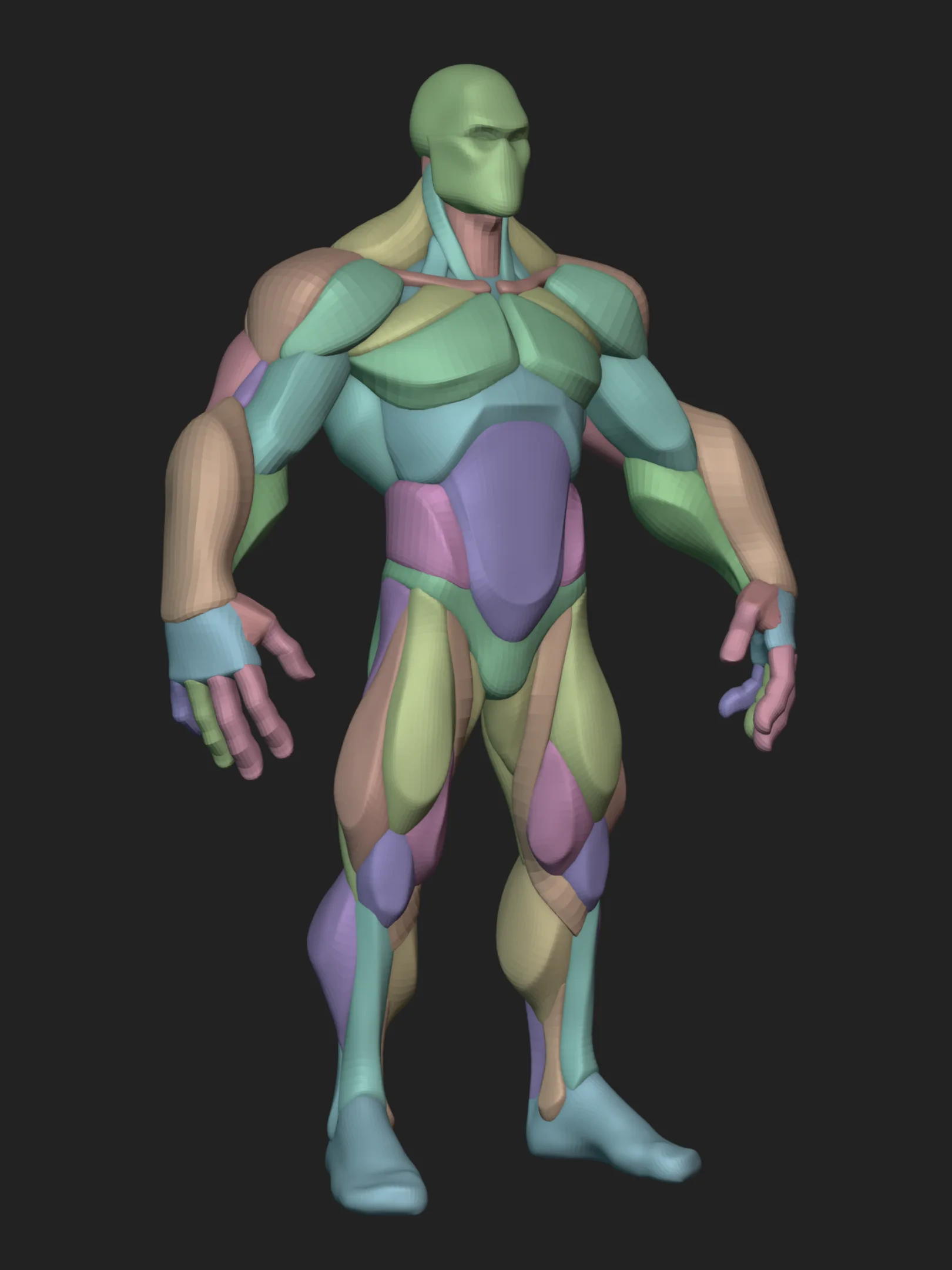 Stylized Hero Anatomy Blockout