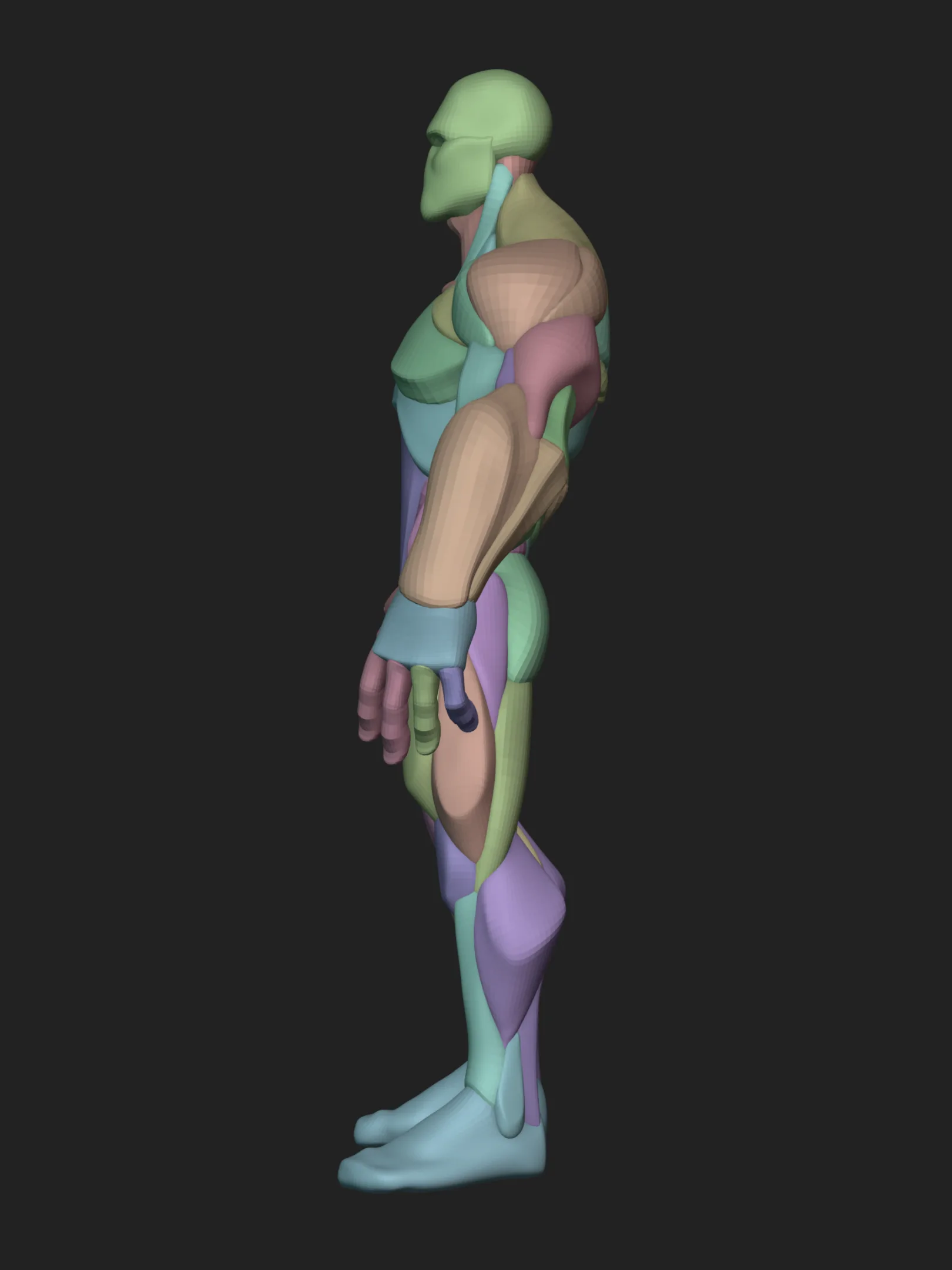 Stylized Hero Anatomy Blockout