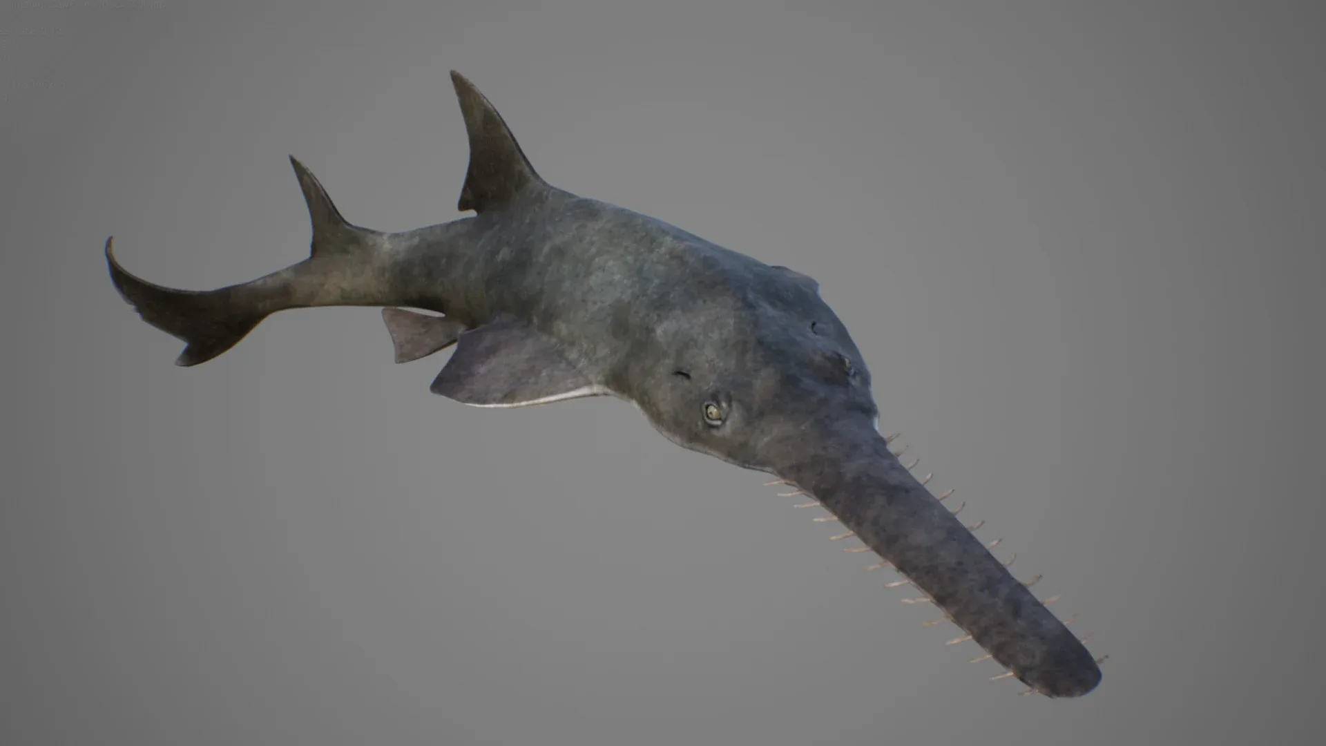 Sawfish - Game Ready