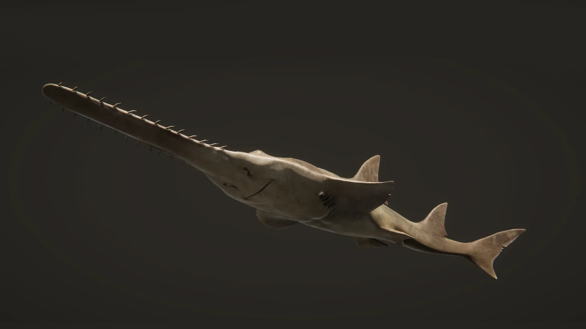 Sawfish - Game Ready