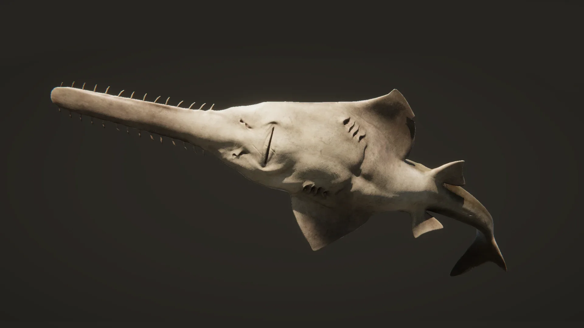 Sawfish - Game Ready