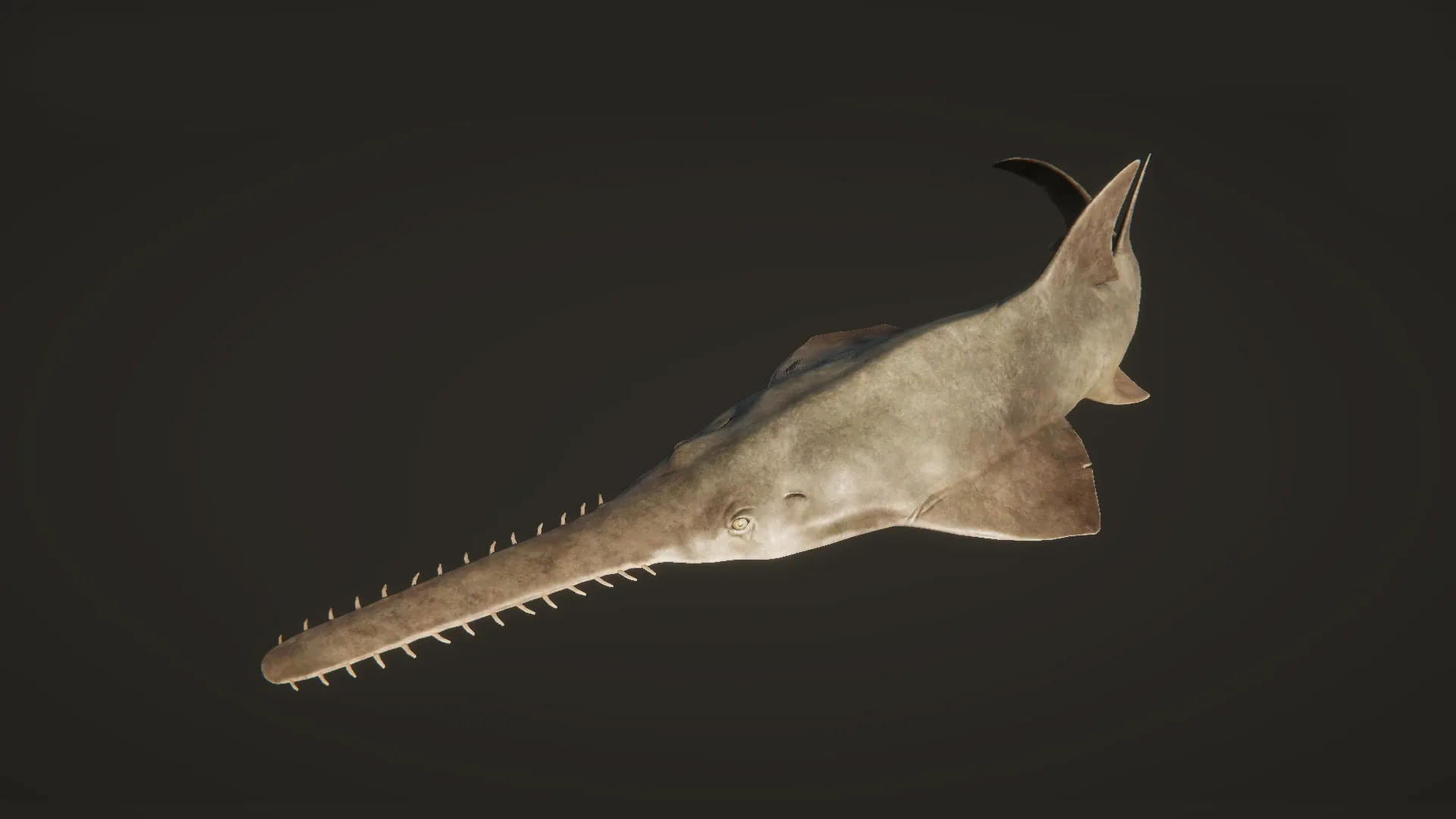 Sawfish - Game Ready