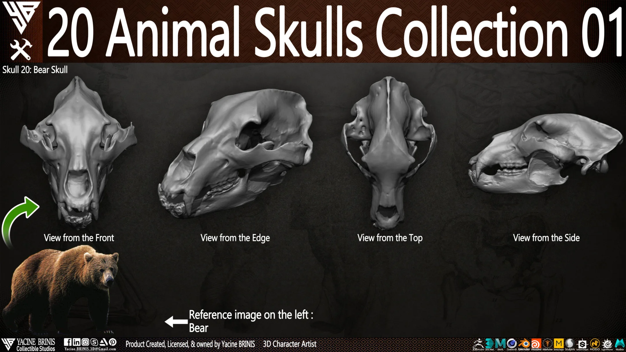 20 Animal Skulls Collection 01