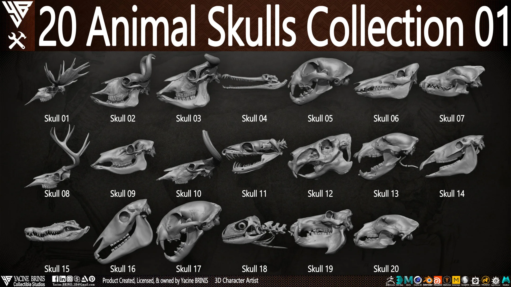 20 Animal Skulls Collection 01