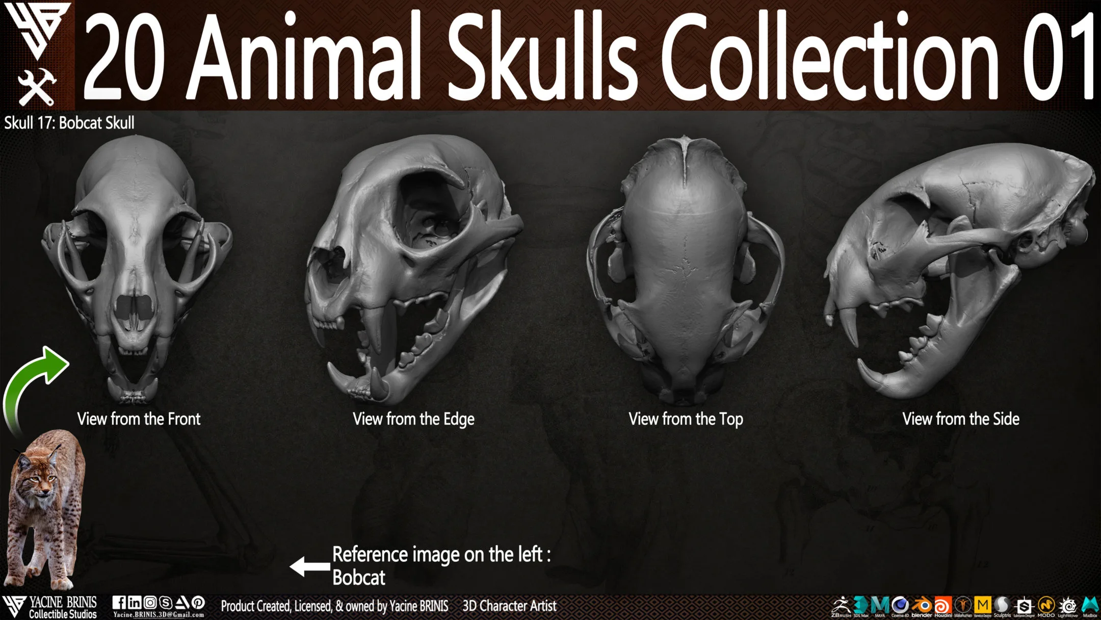 20 Animal Skulls Collection 01