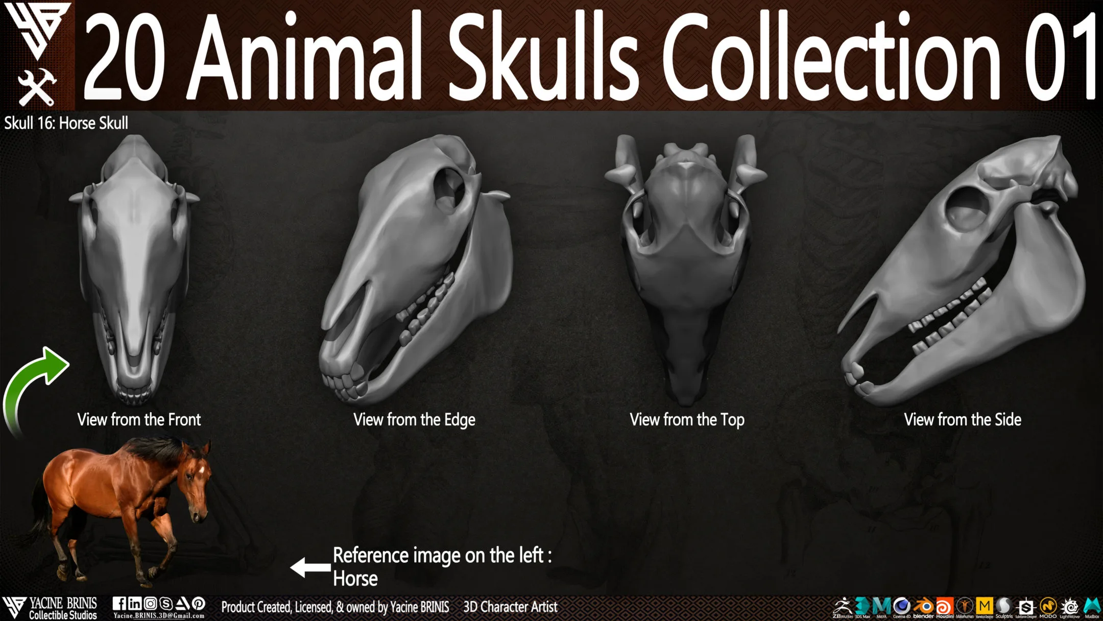 20 Animal Skulls Collection 01